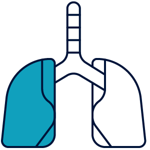 Pulmonology